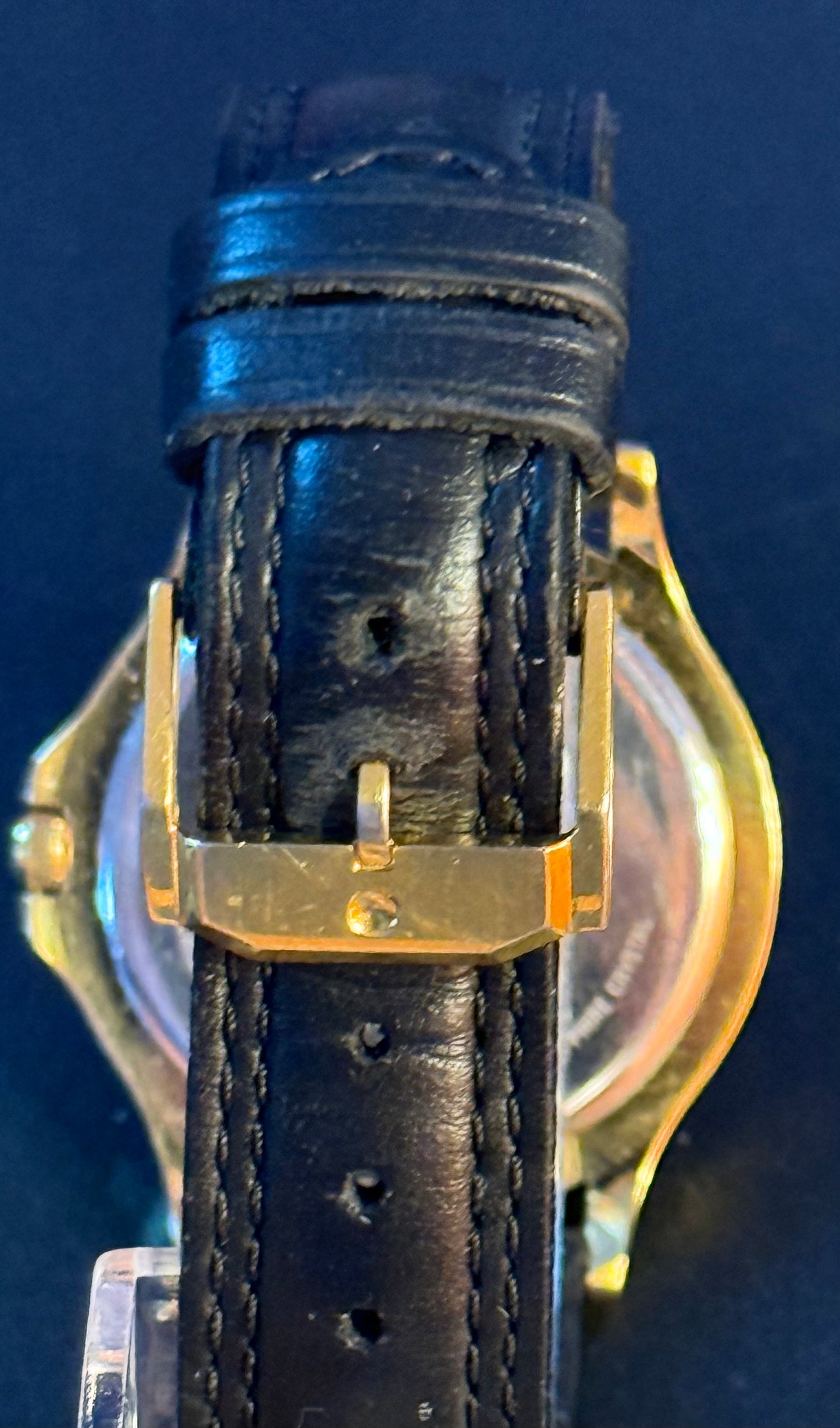 Movado Museum Classic